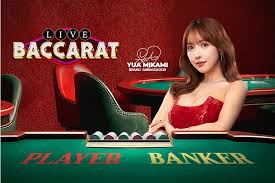 온라인바카라 초보자부터 숙련자까지 알아야 할 모든 것