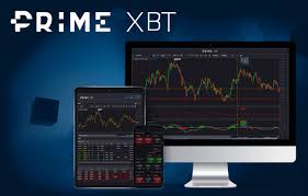 Exploring the PrimeXBT Platform in Turkey A Comprehensive Overview