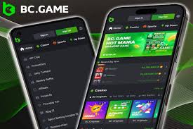 BC.Game Overview Your Ultimate Guide to Online Gaming